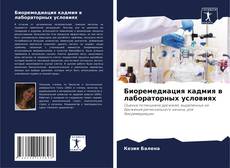 Couverture de Биоремедиация кадмия в лабораторных условиях