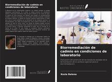 Buchcover von Biorremediación de cadmio en condiciones de laboratorio