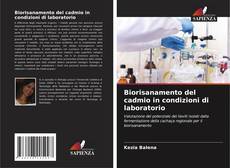 Capa do livro de Biorisanamento del cadmio in condizioni di laboratorio 