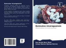Borítókép a  Quiscalus nicaraguensis - hoz