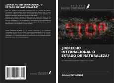 Buchcover von ¿DERECHO INTERNACIONAL O ESTADO DE NATURALEZA?