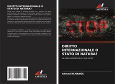 Обложка DIRITTO INTERNAZIONALE O STATO DI NATURA?