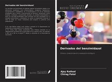 Buchcover von Derivados del benzimidazol