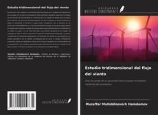 Couverture de Estudio tridimensional del flujo del viento