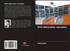 Обложка MTA Obturation monobloc