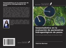 Buchcover von Geoestadística en la evaluación de parámetros hidrogeológicos de pozos