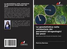 La geostatistica nella valutazione dei parametri idrogeologici dei pozzi的封面