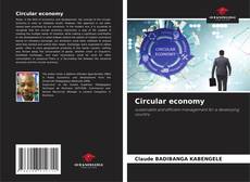 Buchcover von Circular economy
