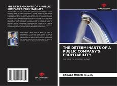 Buchcover von THE DETERMINANTS OF A PUBLIC COMPANY'S PROFITABILITY