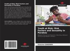 Buchcover von Youth at Risk: Risk Factors and Sexuality in Parakou