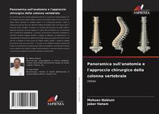 Buchcover von Panoramica sull'anatomia e l'approccio chirurgico della colonna vertebrale