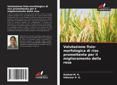 Valutazione fisio-morfologica di riso promettente per il miglioramento della resa的封面