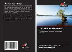 Un caso di emodialisi: kitap kapağı