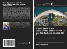 Copertina di Investigación de vibraciones laterales en la unidad turbina-generador 5
