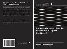Bookcover of Síntesis de nanotubos de carbono (CNT) y su aplicación