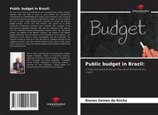 Buchcover von Public budget in Brazil:
