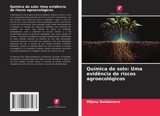 Buchcover von Química do solo: Uma evidência de riscos agroecológicos