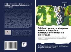 Couverture de Эффективность эфирных масел в борьбе с Rhizopus stolonifer на винограде