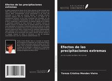 Buchcover von Efectos de las precipitaciones extremas