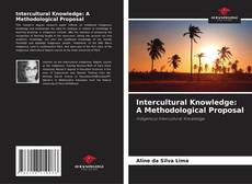 Buchcover von Intercultural Knowledge: A Methodological Proposal