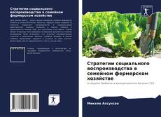 Couverture de Стратегии социального воспроизводства в семейном фермерском хозяйстве