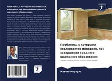 Couverture de Проблемы, с которыми сталкивается молодежь при завершении среднего школьного образования