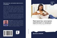 Couverture de Пространства, культурная идентичность и миграция