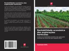 Buchcover von Rentabilidade económica das explorações hortícolas