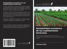 Buchcover von Rentabilidad económica de las explotaciones hortícolas