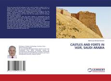 Bookcover of CASTLES AND FORTS IN 'ASIR, SAUDI ARABIA