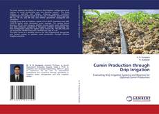 Bookcover of Cumin Production through Drip Irrigation