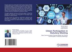 Bookcover of Citizen Participation in Statutory Meeting