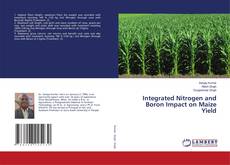 Bookcover of Integrated Nitrogen and Boron Impact on Maize Yield