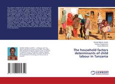 Bookcover of The household factors determinants of child labour in Tanzania