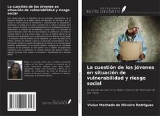 Buchcover von La cuestión de los jóvenes en situación de vulnerabilidad y riesgo social