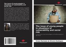 Bookcover of The issue of young people in situations of vulnerability and social risk