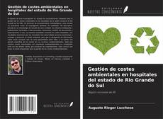 Copertina di Gestión de costes ambientales en hospitales del estado de Rio Grande do Sul