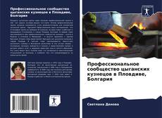 Bookcover of Профессиональное сообщество цыганских кузнецов в Пловдиве, Болгария