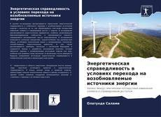 Couverture de Энергетическая справедливость в условиях перехода на возобновляемые источники энергии