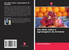 Buchcover von Um olhar sobre o agronegócio da Arménia