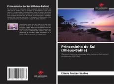 Bookcover of Princesinha do Sul (Ilhéus-Bahia)