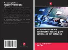 Buchcover von Nanocompósito de polidimetilsiloxano para aplicações em selantes