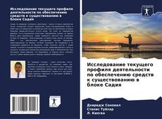 Couverture de Исследование текущего профиля деятельности по обеспечению средств к существованию в блоке Садия