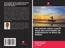 Buchcover von Um estudo sobre o perfil atual das actividades de subsistência no bloco de Sadiya