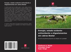 Buchcover von Energia, estado oxidante-antioxidante e oligoelementos em cabras Beetal