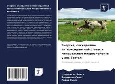 Bookcover of Энергия, оксидантно-антиоксидантный статус и минеральные микроэлементы у коз Беетал