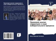 Правовой анализ коррупции в ходе избирательного процесса的封面