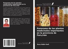 Buchcover von Panorama de las plantas medicinales importantes en la provincia de Fars,Irán