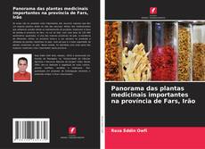 Buchcover von Panorama das plantas medicinais importantes na província de Fars, Irão