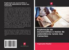 Buchcover von Exploração de escaravelhos e meios de subsistência rurais nos Camarões